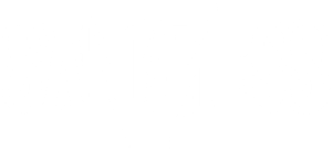 Sandness logo